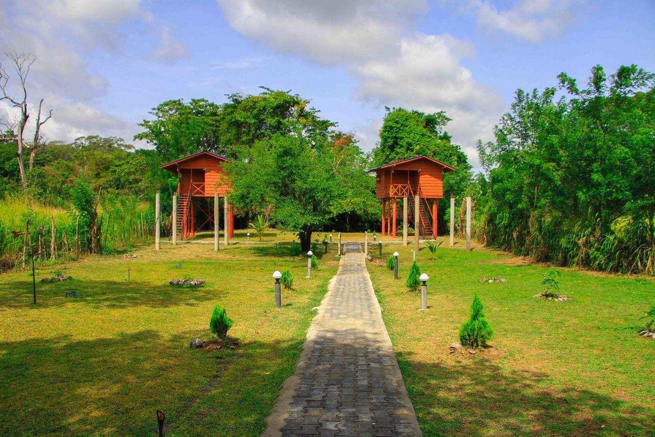 فندق سيغيرِيافي  Sigiri Royal Point Tree House المظهر الخارجي الصورة