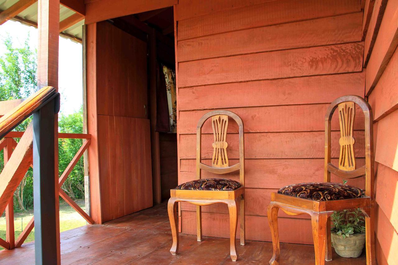 فندق Sigiri Royal Point Tree House سيغيرِيا المظهر الخارجي الصورة