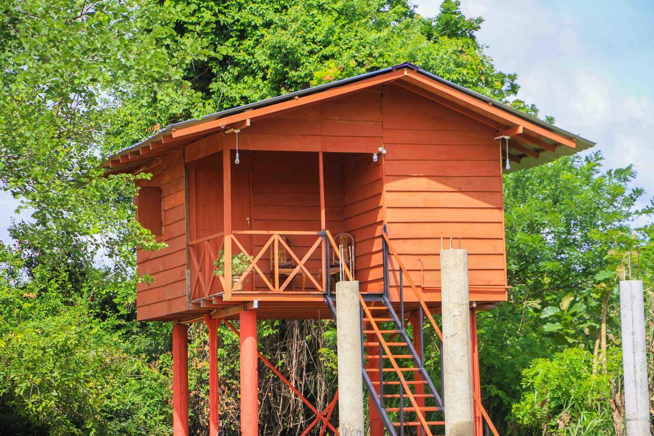 فندق Sigiri Royal Point Tree House سيغيرِيا المظهر الخارجي الصورة