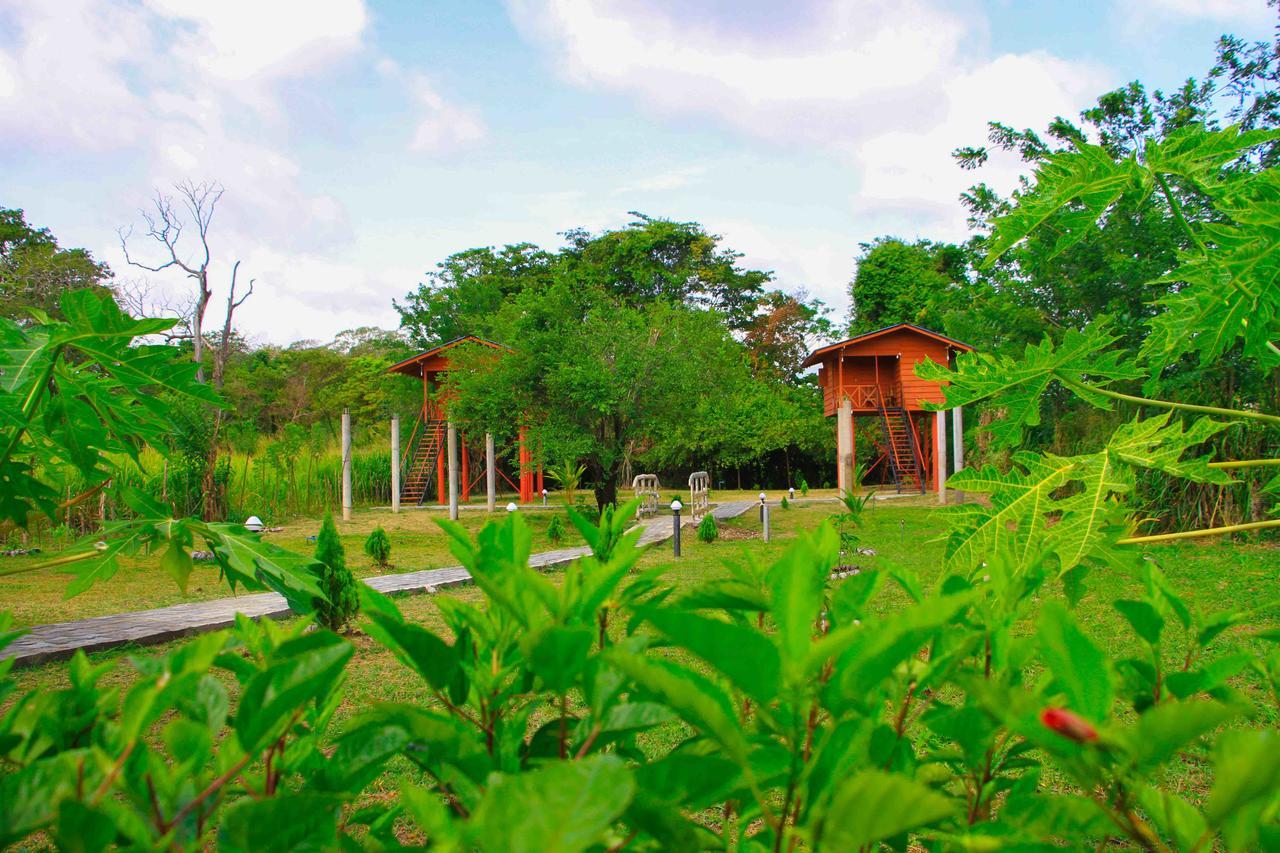 فندق سيغيرِيافي  Sigiri Royal Point Tree House المظهر الخارجي الصورة