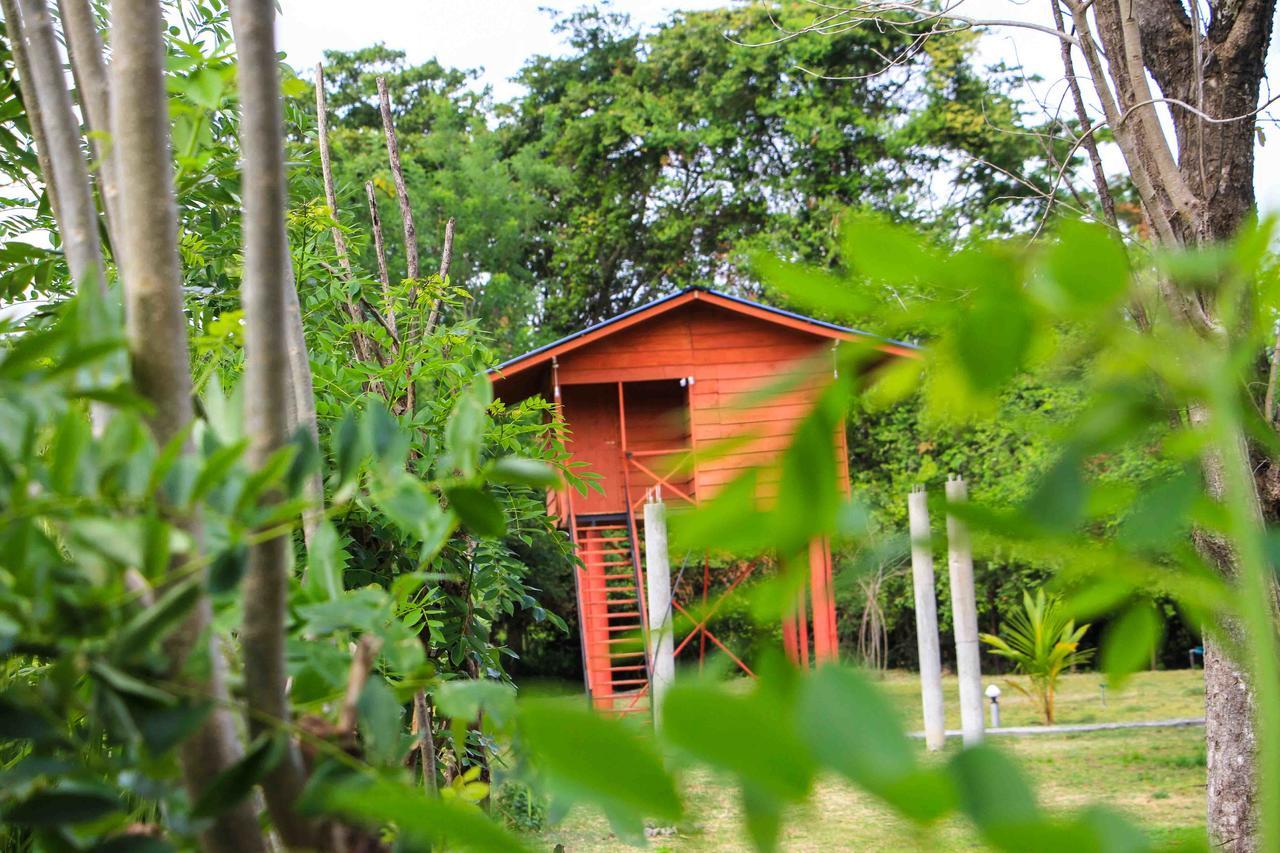 فندق سيغيرِيافي  Sigiri Royal Point Tree House المظهر الخارجي الصورة