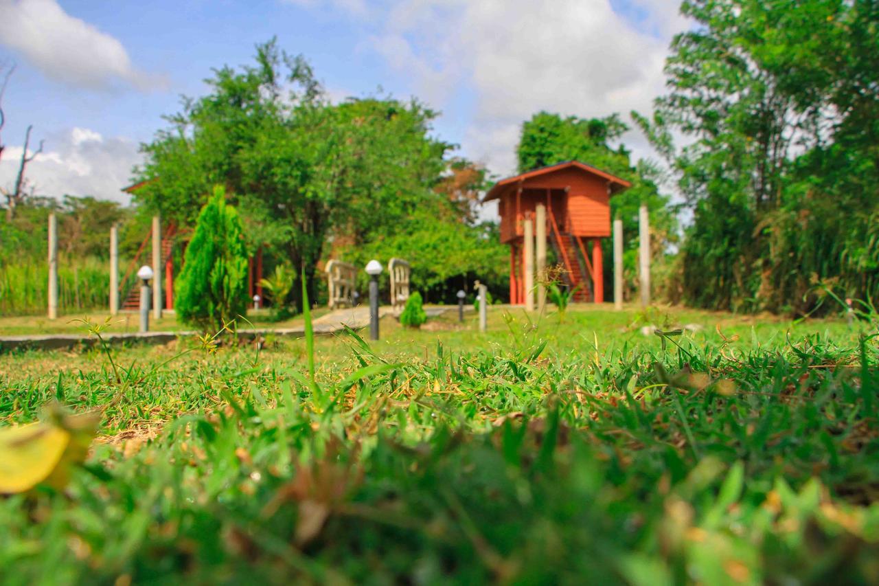 فندق Sigiri Royal Point Tree House سيغيرِيا المظهر الخارجي الصورة
