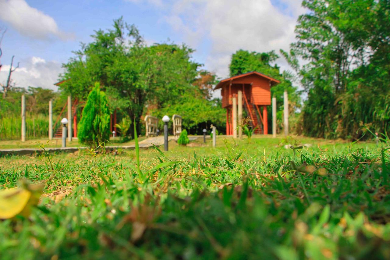 فندق سيغيرِيافي  Sigiri Royal Point Tree House المظهر الخارجي الصورة