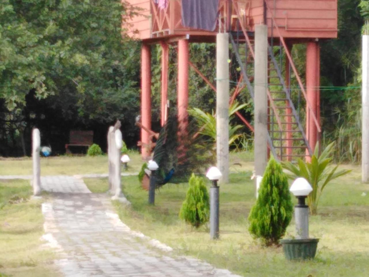 فندق Sigiri Royal Point Tree House سيغيرِيا المظهر الخارجي الصورة